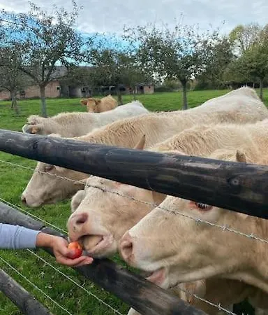 La Bourgeoise Normande 빌라 *
